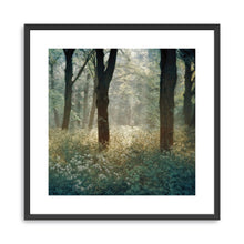 Morning in the Forest