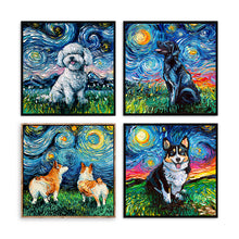 Starry Night Paws Collection I (Assorted Pack of 4)