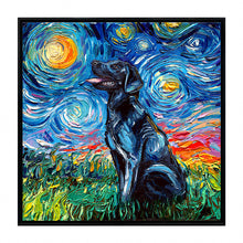 Starry Night Paws Collection I (Assorted Pack of 4)