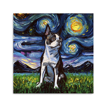 Boston Terrier II