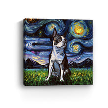 Boston Terrier II