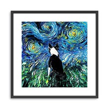 Boston Terrier
