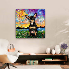 Chihuahua Black and Tan