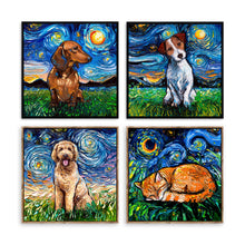 Starry Night Paws Collection II (Assorted Pack of 4)