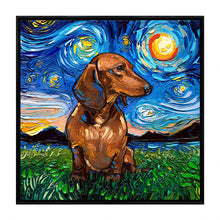 Starry Night Paws Collection II (Assorted Pack of 4)