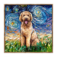 Starry Night Paws Collection II (Assorted Pack of 4)