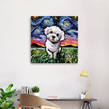 Maltipoo Night Canvas Wall Art