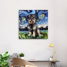 Schnoodle Night