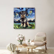 Schnoodle Night