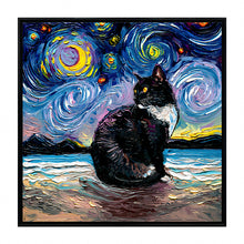 Starry Night Paws Collection III (Assorted Pack of 4)
