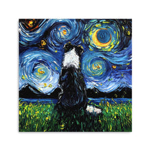 Border Collie III