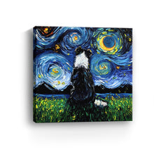 Border Collie III