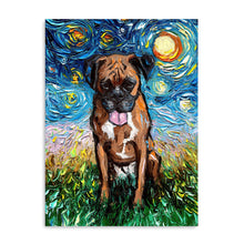 Boxsue Boxer
