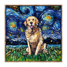 Starry Night Paws Collection IV (Assorted Pack of 4)