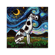 Great Dane Harlequin