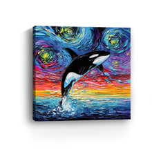 Orca Night