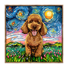 Starry Night Paws Collection IV (Assorted Pack of 4)