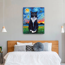 Tuxedo Cat Night I