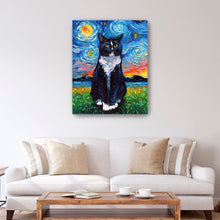 Tuxedo Cat Night I