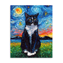 Tuxedo Cat Night I