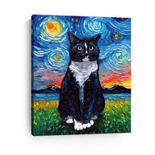 Tuxedo Cat Night I