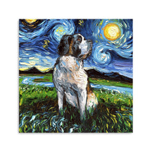 Saint Bernard Night