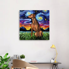 Vizsla Night