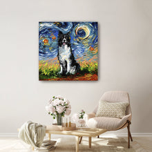 Border Collie Night