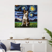 Brown Boston Terrier Night