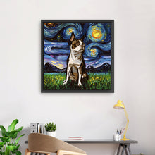 Brown Boston Terrier Night