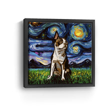 Brown Boston Terrier Night