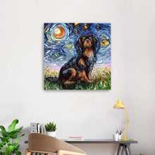 Cavalier King Night