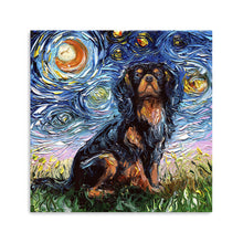 Cavalier King Night