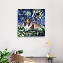 Collie Night