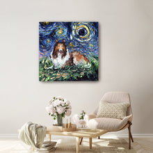 Collie Night