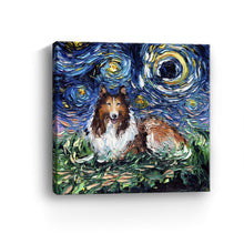 Collie Night