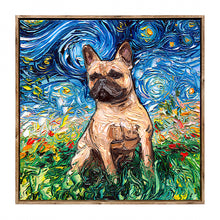 Starry Night Paws Collection V (Assorted Pack of 4)