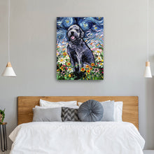 Gray Labradoodle