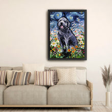 Gray Labradoodle