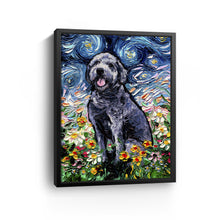 Gray Labradoodle