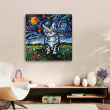 Gray Tabby Kitten Night