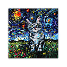 Gray Tabby Kitten Night
