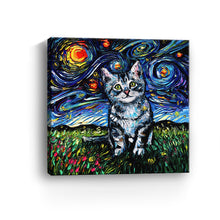 Gray Tabby Kitten Night