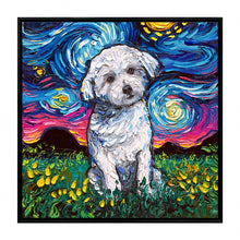 Starry Night Paws Collection VI (Assorted Pack of 4)