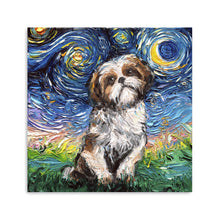 Shih Tzu