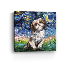 Shih Tzu