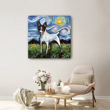 Toy Fox Terrier Night