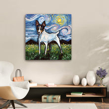Toy Fox Terrier Night