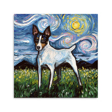 Toy Fox Terrier Night