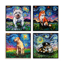 Starry Night Paws Collection VII (Assorted Pack of 4)